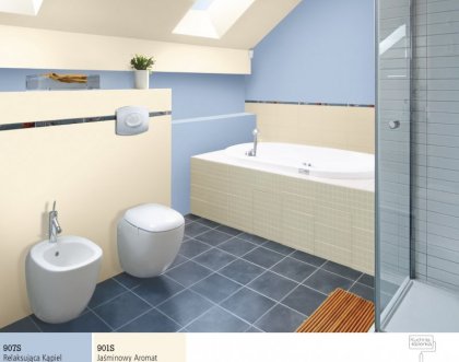 What paint to choose for the bathroom? The expert’s advice